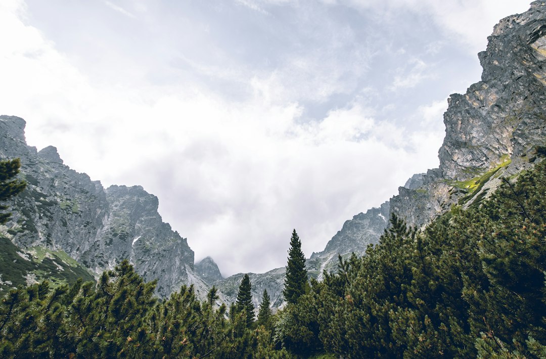 Discover Slovakia's Most Breathtaking Scenic Walkways