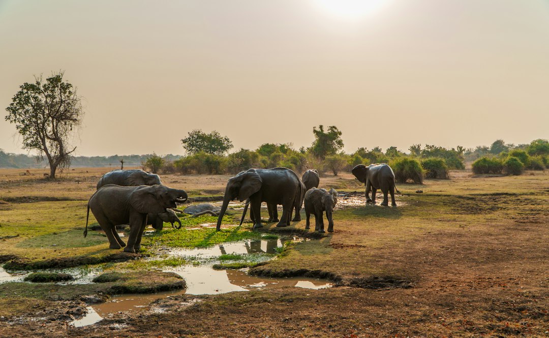 The Ultimate Guide to Zambia’s Most Famous Landmarks: Discovering Africa's Hidden Gems